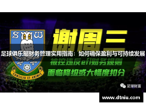 足球俱乐部财务管理实用指南：如何确保盈利与可持续发展