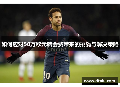 如何应对50万欧元转会费带来的挑战与解决策略